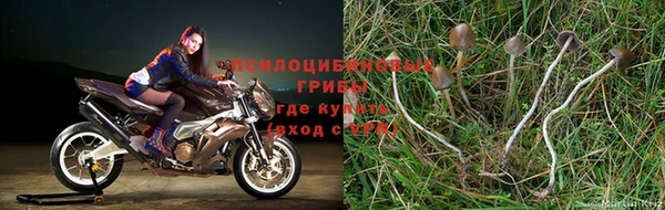 соль ск Абаза