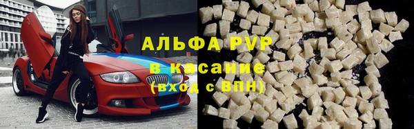 гидра Алексин