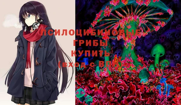 соль ск Абаза