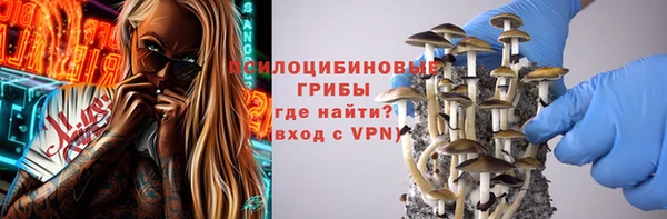 хмурый Алексеевка